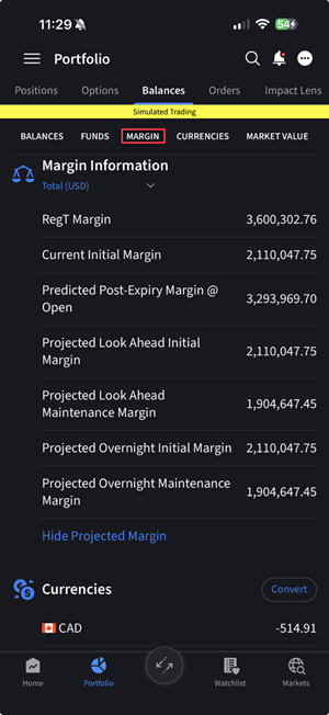 The margins section on the iPhone
